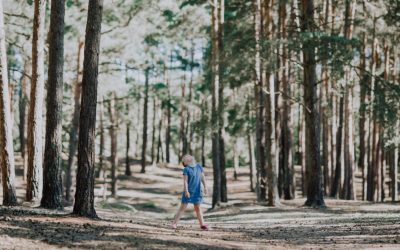Farnham Photography // Summer Family Session // Michael, Louise + family