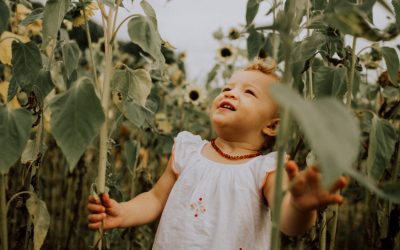 First Year Package // Wisley Family Photographer // Wes, Hayley + family